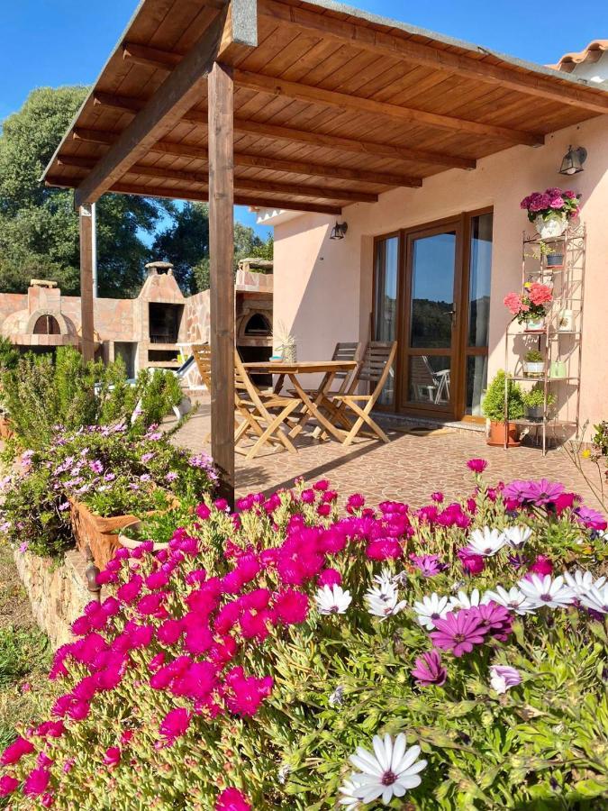 Holiday home Casetta Vittoria *